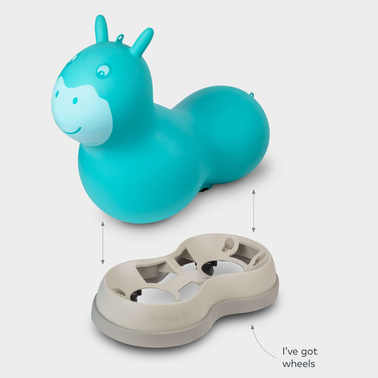 Micro Ride on Space Hopper: Aqua