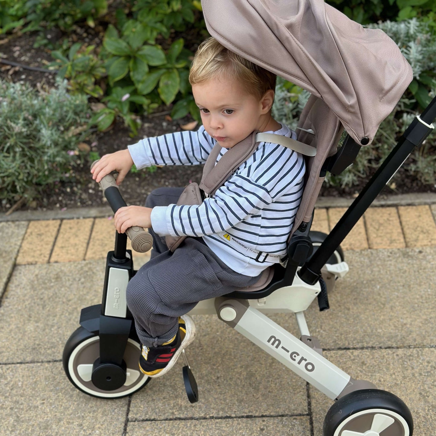 Micro Flexi Trike: Brown Latte