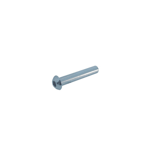 Board Fixation Screws: Silver